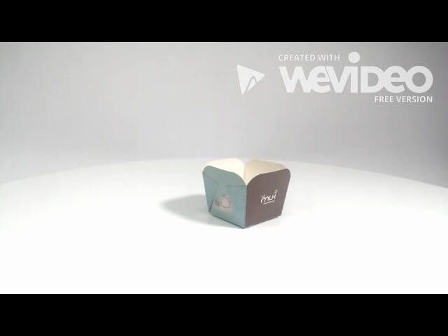 Win Shine\\\’s video,paper tray making machines